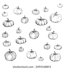 Pattern with Various Pumpkins, Hand-Drawn Vector Illustration