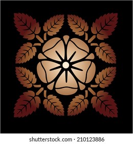 Pattern- Vector
