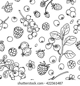 Pattern of vector berries and leaves. Wild berries painted line on a white background.