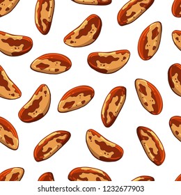 Pattern of vector colorful illustrations on the nutrition theme; set of brazilian nuts. Realistic isolated objects for your design.