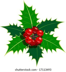 Pattern vector of European holly