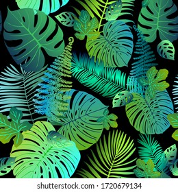 Trama verde neón hojas tropicales de palma, monstera, helecho. Plantas en un fondo negro.