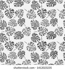 Pattern and vector illustration of black prints of tropical monstera leaves on a white background