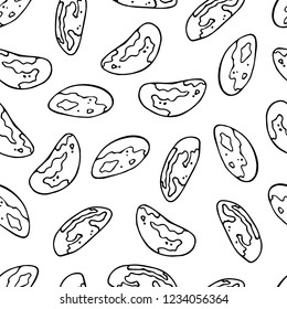 Pattern of vector illustrations on the nutrition theme; set of brazilian nuts. Realistic isolated objects for your design.