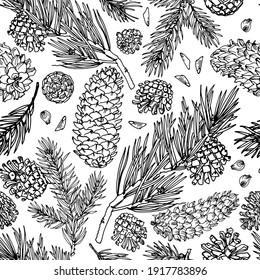 Pattern Vector line drawing. Christmas tree branches and cones  drawn by a black line on a white background. 