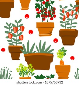 Pattern Vector Local food, vegetables and fruits. Farming and market