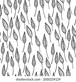 pattern vector ornament nature floral wheat  feather monochrome