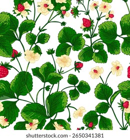 Padrão vetor Morango bagas linha de cor. Flores e bagas de verão. Colheita, produtos agrícolas.