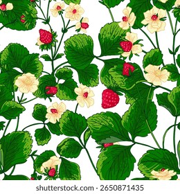 Padrão vetor Morango bagas linha de cor. Flores e bagas de verão. Colheita, produtos agrícolas.