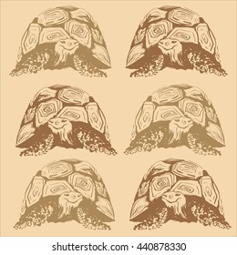pattern vector turtle