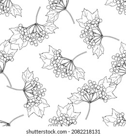 patrón de viburnum. patrón sin costuras Un brote de viburno medicinal dibujado a mano, un montón de bayas y hojas, un contorno negro aislado a menudo en blanco para una plantilla de diseño de envases y etiquetas