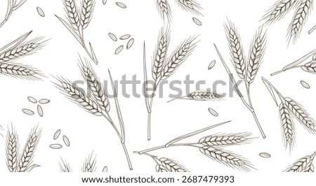 Pattern of wheat ears on a white background.