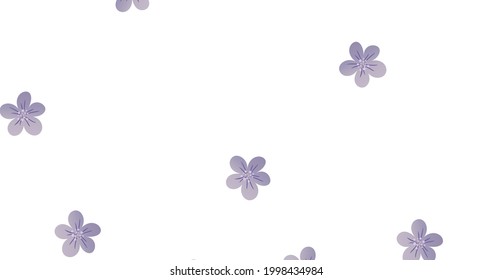 pattern white background floral flowers spring print graphic summer purple