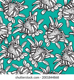 Pattern, white daisies withc black ourline on a blue-green background.