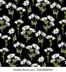 Pattern with white daisies.Vector seamless pattern with white daisies on a black background.