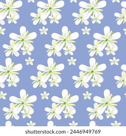 Pattern with white flowers. Coffee flower. Seamless pattern.
