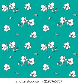 Muster weißer Blumen auf türkisblauem Hintergrund