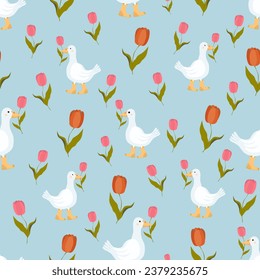 Pattern with white geese and tulips. Endless vector texture on blue background.