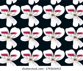pattern of white geranium flowers on a blue background