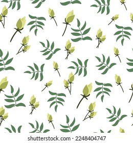 A pattern of white rose buds with green twigs on a white background. Delicate background for printing on paper and textiles. Print for packaging, postcards for Mother's Day, Valentine's Day, birthday