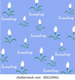 Pattern with white snowdrops. Print with white flowers.