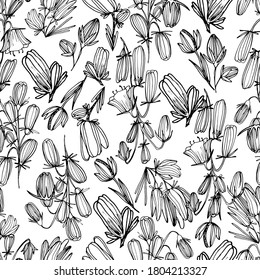 Pattern with wild, summer flowers. Bell flower. Coloring book for children and adults with delicate beautiful summer flowers. Decorative flower of various shapes. For textiles, wallpaper, coloring. 