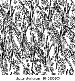 Pattern with wildflowers. Dried flowers, medicinal plants, canola. Background with beautiful little flowers. For wallpaper, banner, coloring, design paper, packaging. Isolate, stock art