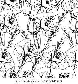 Pattern with wildflowers, dried flowers. Poppy, poppy box, medicinal herbs, spikelet. Coloring book for children and adults. Beautiful hand-drawn graphics. For textiles, wallpaper, paper. 