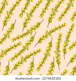 Pattern with yellow forsythia flowers. Woman day 8 March holiday card. Spring floral vector illustration. Template for for paper, cover, fabric, interior decor and other.