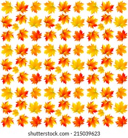 pattern of yellow maple leaves