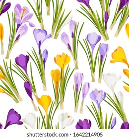 A pattern with yellow and purple crocus flowers (saffron). Vector image