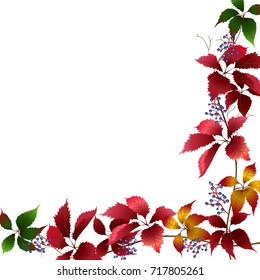 pattern with yellow and red leaves on a white background