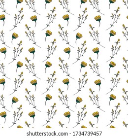 Pattern of yellow unopened flowers and sprigs of mimosa on a white background. vector illustration, line, for the design of paper, wallpaper, textile
