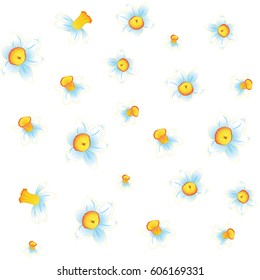 Pattern of yellow and white daffodils different sizes, flowers on white background. Narcissus flowers. Vector