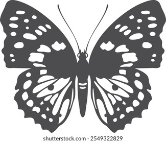 Patterned butterfly black drawing. Summer flying moth