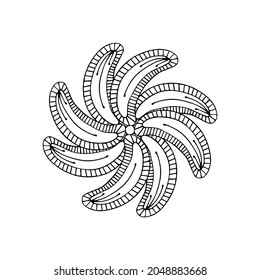 Los rizos estampados se acercan a un fondo blanco. Fragmentos de gráficos vectoriales. Material para la creación de ornamentos y diseños sin fisuras.