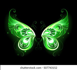 Patterned, green, glowing fairy wings on black background.
