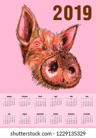 Patterned head of boar. Pig. Swine. Symbol of 2019. Calendar cover. It may be used for design of a t-shirt, bag, postcard, a poster and so on.