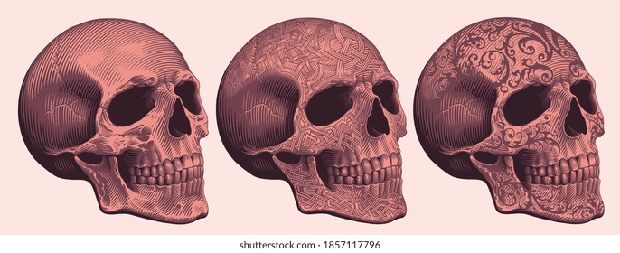 Patterned Human Skull. Design set. Hand drawn engraving. Editable vector vintage illustration. Isolated on light background. 8 EPS