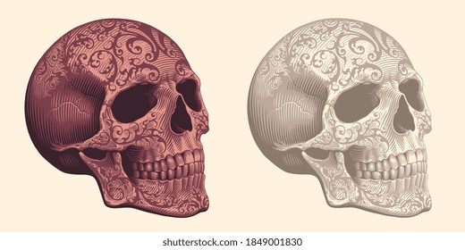 Patterned Human Skull. Hand drawn engraving. Editable vector vintage illustration. Isolated on light background. 8 EPS