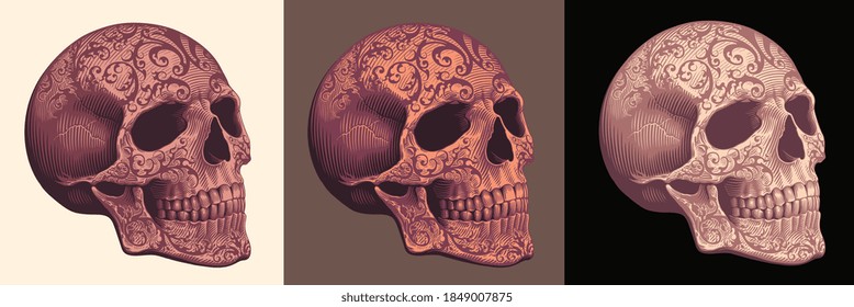 Patterned Human Skull. Hand drawn engraving. Editable vector vintage illustration. Isolated on different backgrounds. 8 EPS