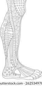 Patterned Leg Anatomy Line Art, Black and white line drawing illustration of a human leg and foot, stylized with various decorative patterns such as hearts, swirls, scales, flowers, and circles,