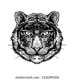 Patterned ornate tiger head. African, Indian, totem, tattoo, sticker  design. Design of t-shirt, bag, postcard and posters. Vector isolated illustration in black and white. Coloring book.