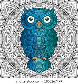Patterned owl on the petterned background. African, indian, totem design. It may be used for design of a t-shirt, bag, postcard, a poster and so on. Ethnic doodle motifs. Owl - vector illustration.