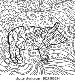 Patterned pig. Hand drawn ornaments. Abstract patterns on isolated background. Design for spiritual relaxation for adults. Black and white illustration