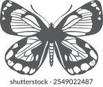 Patterned wings butterfly. Exotic night moth drawing