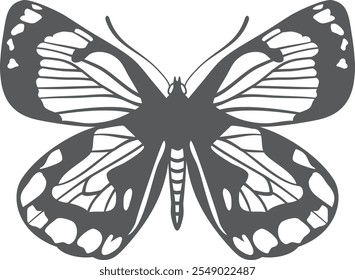 Patterned wings butterfly. Exotic night moth drawing