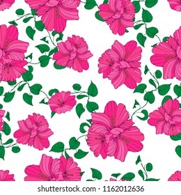 Pattern.Hibiscus flower with branch on white background