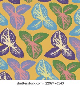 Patterning the leaves of the syngonium plant