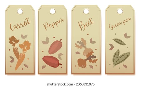 Patterns for the design of vegetable seeds: carrots, peppers, beets and green peas. Palette in vintage style. The vector is made in flat style.